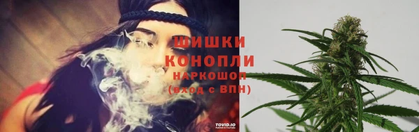 дмт Аркадак