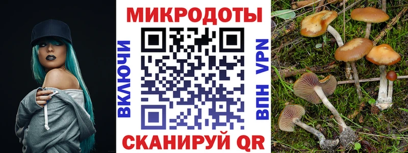 Галлюциногенные грибы мицелий  Калязин 