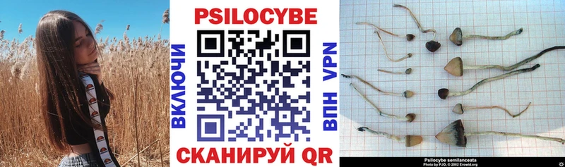 Галлюциногенные грибы GOLDEN TEACHER Калязин