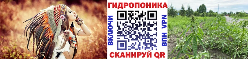 Бошки Шишки сатива  Калязин 